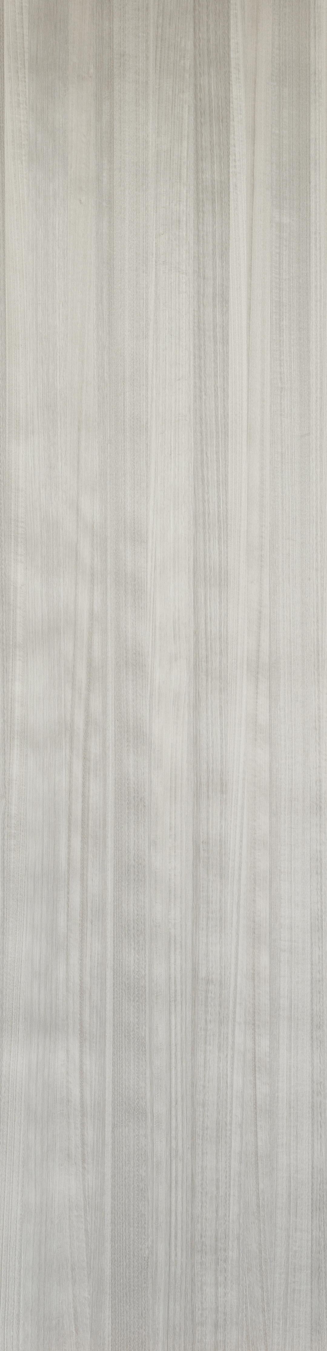 Muta - Neverending Wood — Tabu (ảnh 3)