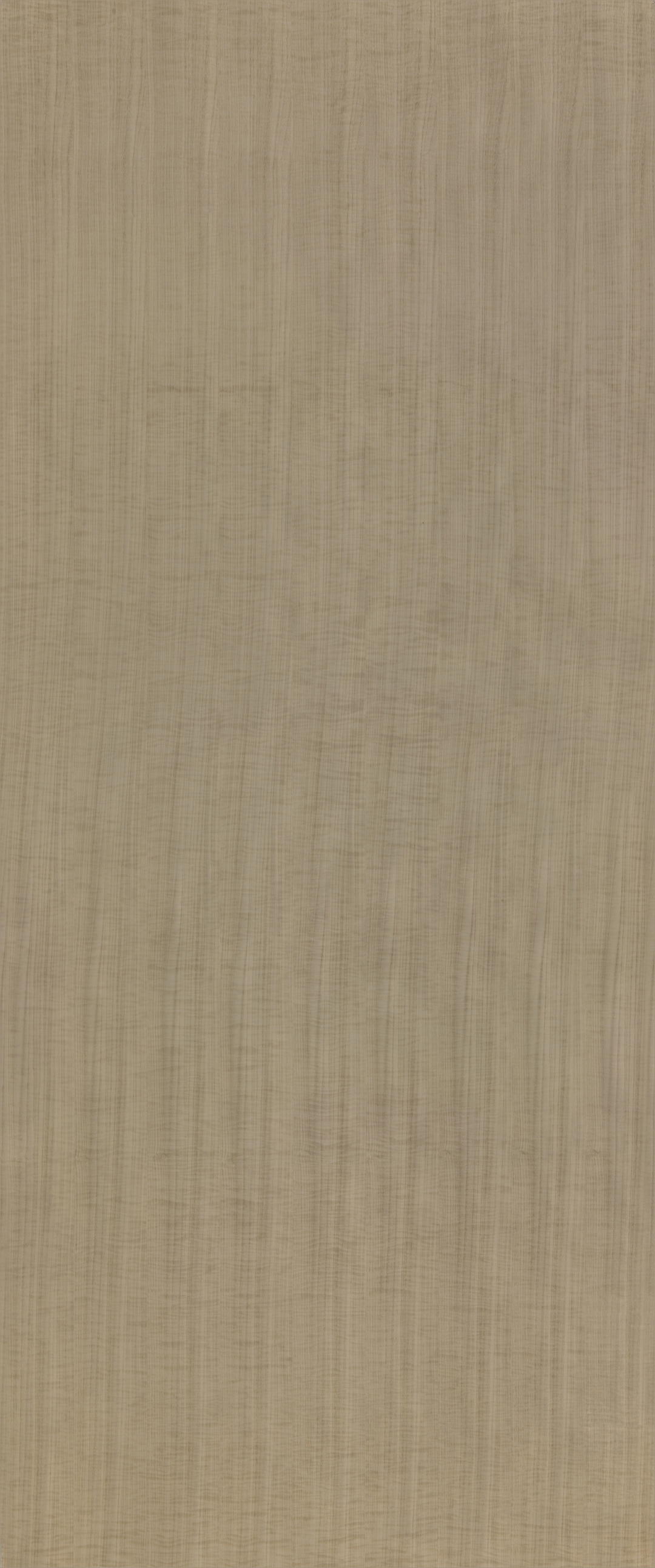 Tabu ReFIGURED — Tabu (ảnh 3)